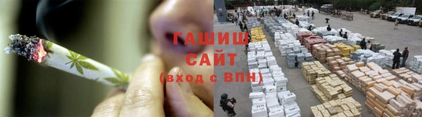 прущие грибы Магас