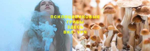 винт Лиски