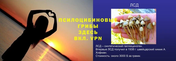 прущие грибы Магас