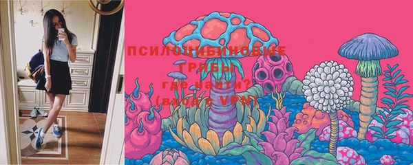 2c-b Алексеевка