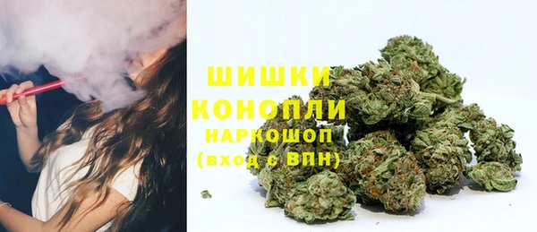 Альфа ПВП Семёнов