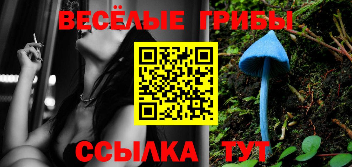 Псилоцибиновые грибы ЛСД  Вход с VPN  Ленинск-Кузнецкий  Псилоцибиновые грибы GOLDEN TEACHER 