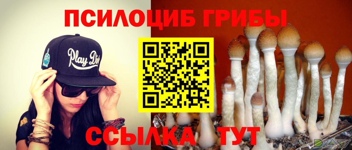 Псилоцибиновые грибы MAGIC MUSHROOMS Ленинск-Кузнецкий