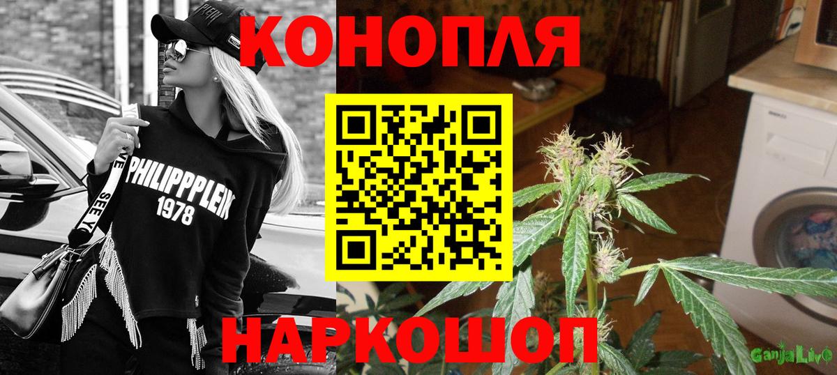 Бошки Шишки сатива Ленинск-Кузнецкий